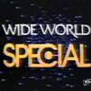 Geraldo Rivera's Wide World  Special Goodnight America 1975
